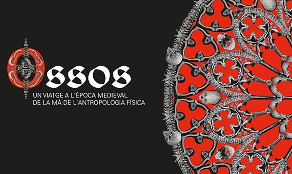 Ossos. Un viatge a l'edat mitjana de la mà de l'antropologia física